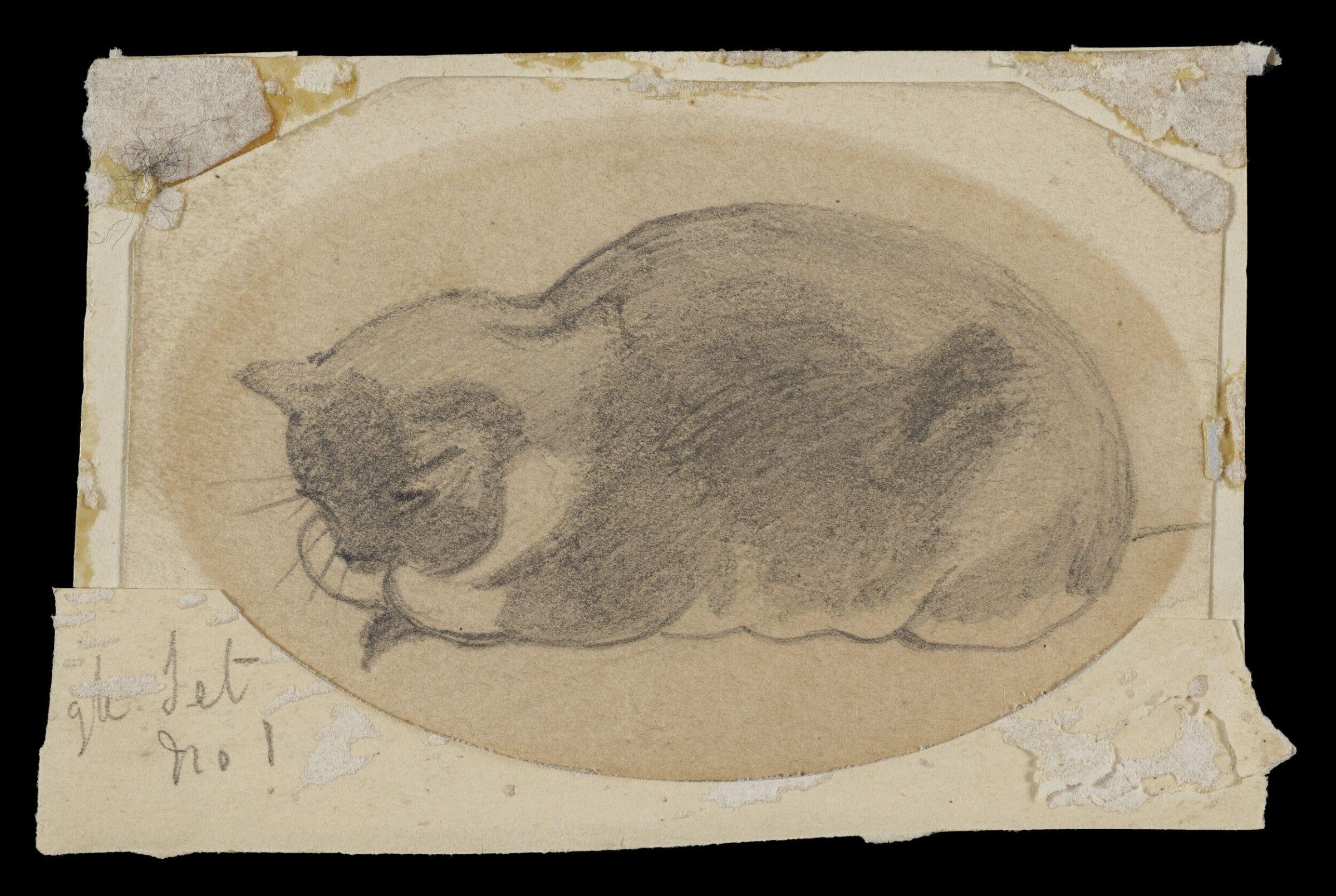 Study of a sleeping cat, Daniel Maclise, ca. 1825-70