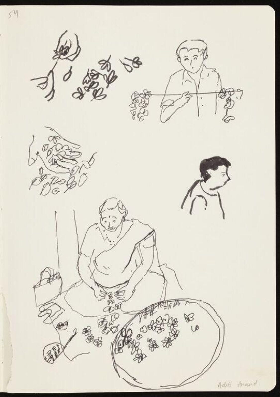 Marigolds, Aditi Anand, 2023