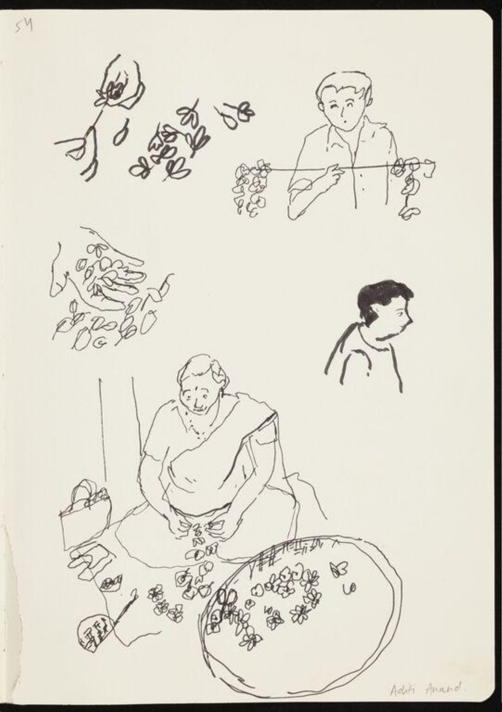 Marigolds, Aditi Anand, 2023
