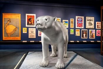 Model of the polar bear Iorek Byrnison