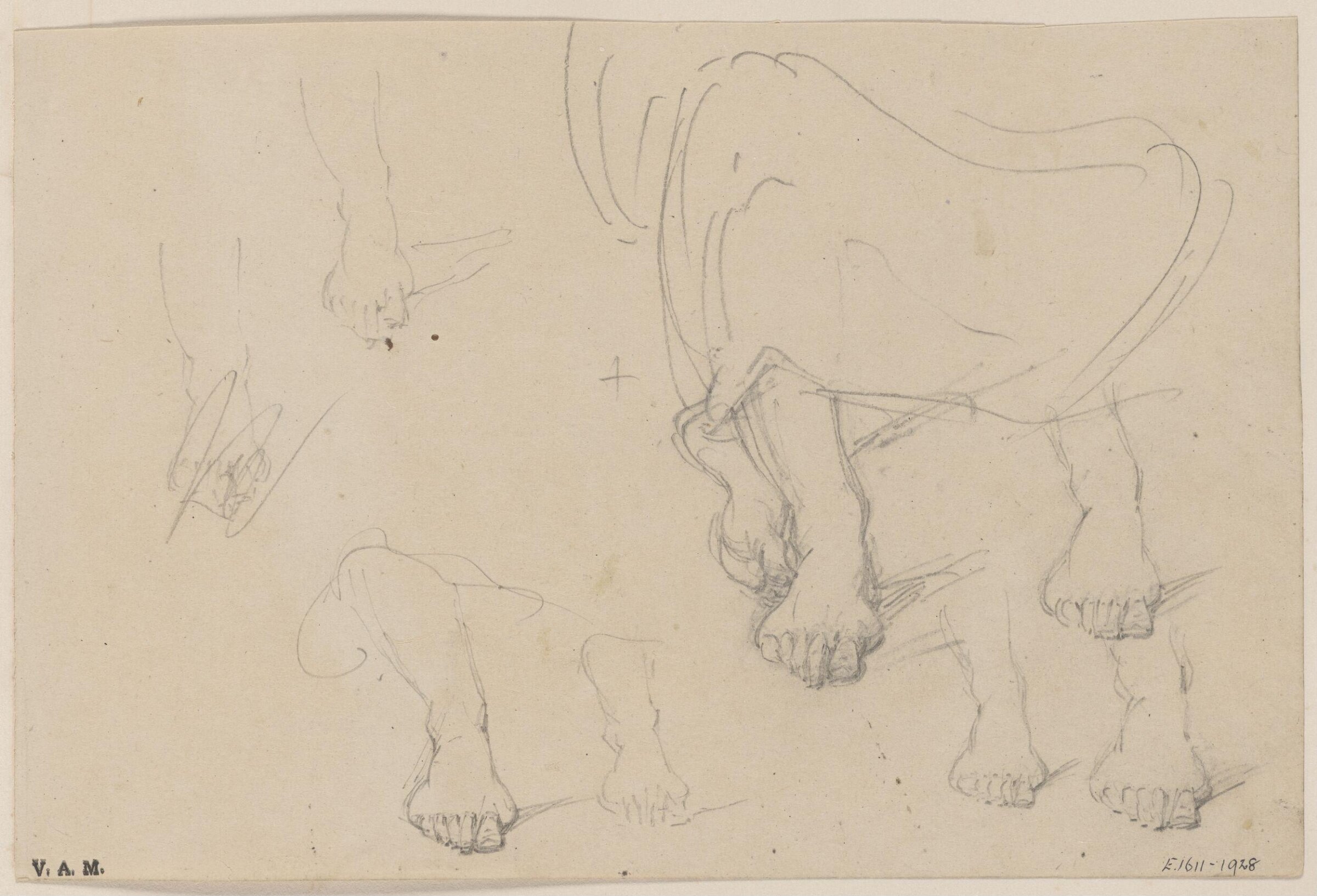 Lower legs and feet, George Chinnery