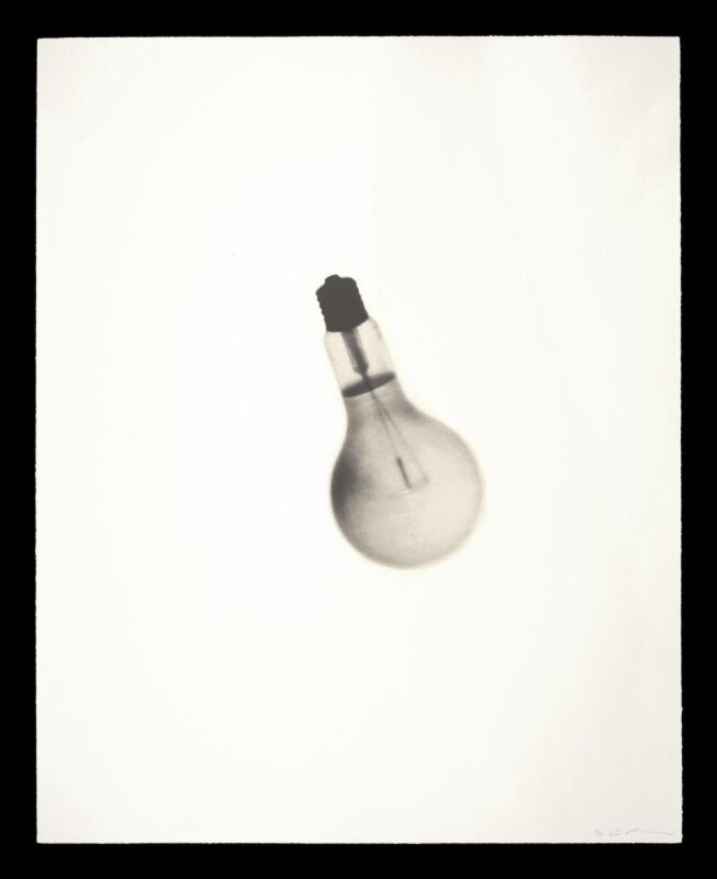 Spent Bulb Exposed by a Live One