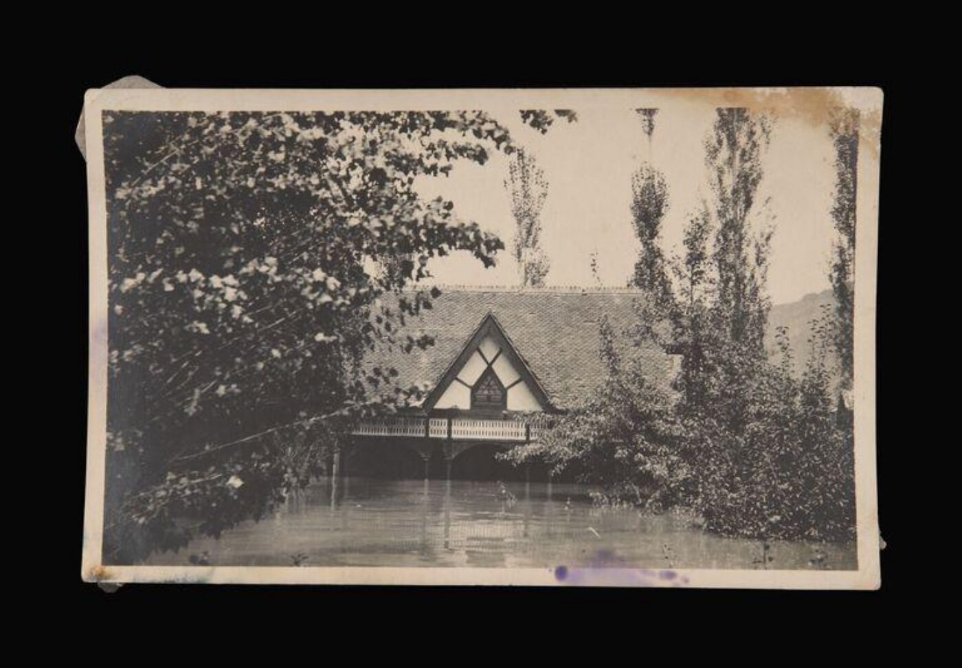 unknown, Photograph