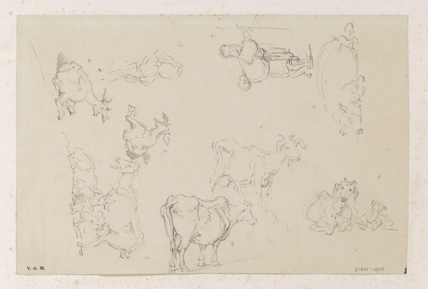 George Chinnery, Chinese figures and animals