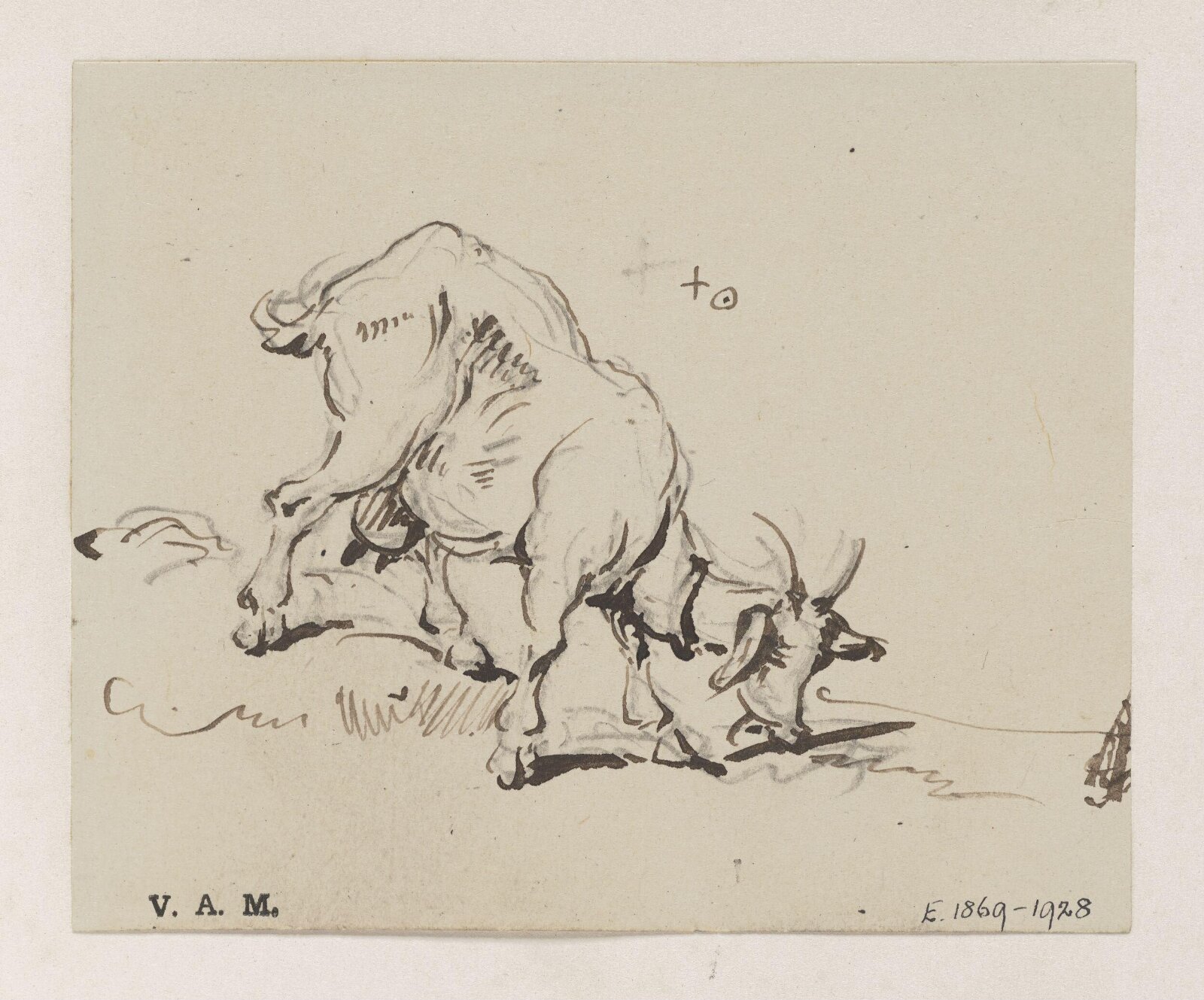 A grazing goat, George Chinnery, 29/09/1825 - 30/05/1852