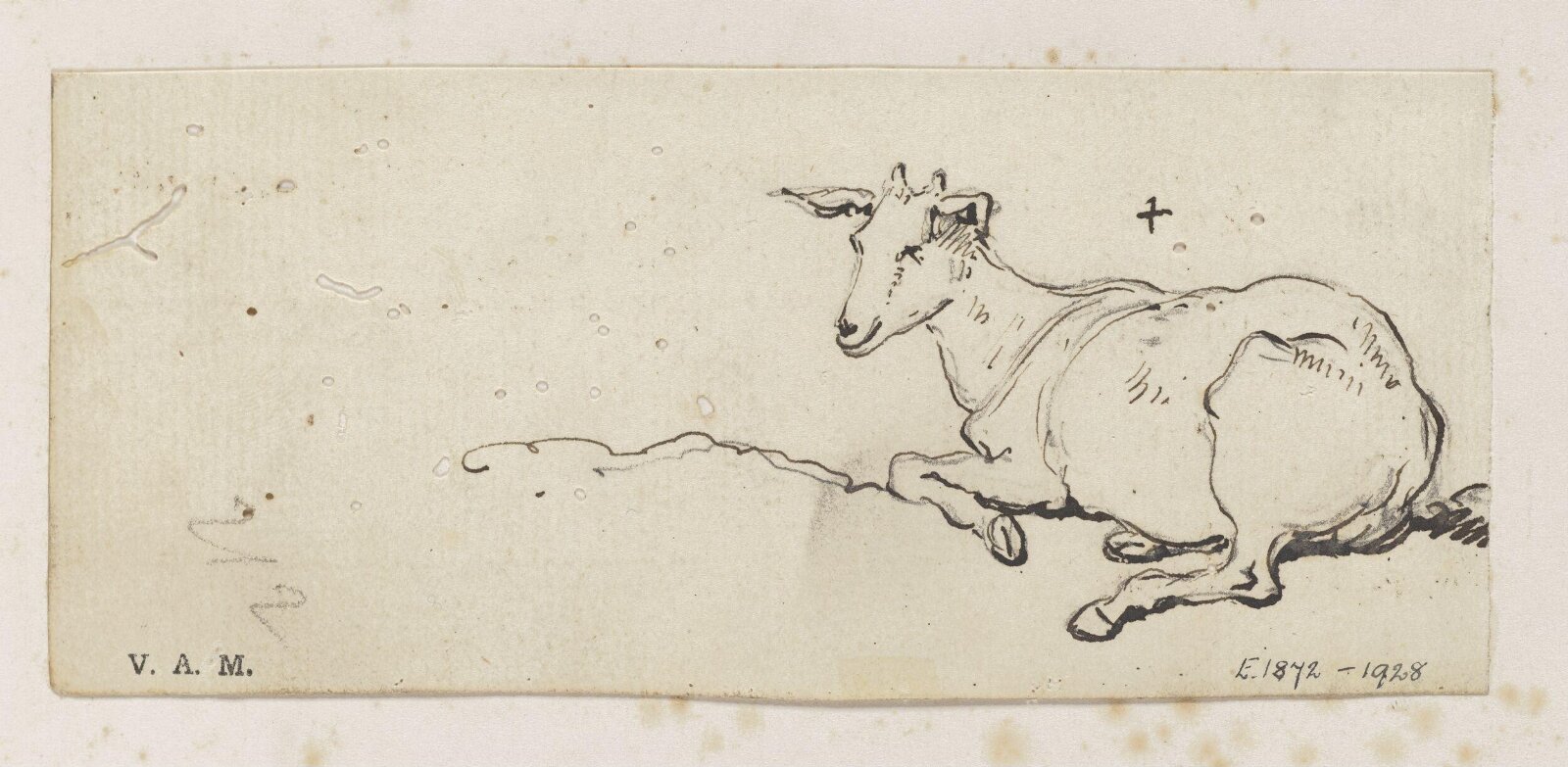 A young goat, George Chinnery, 29/09/1825 - 30/05/1852