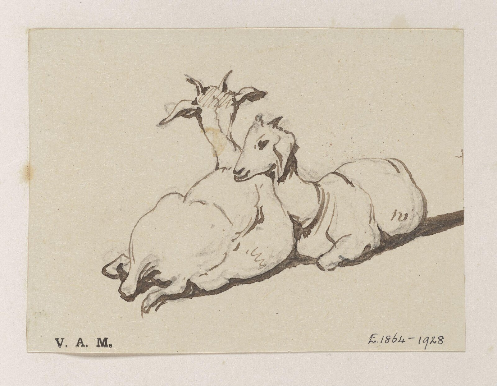 Two goats, George Chinnery, 29/09/1825 - 30/05/1852