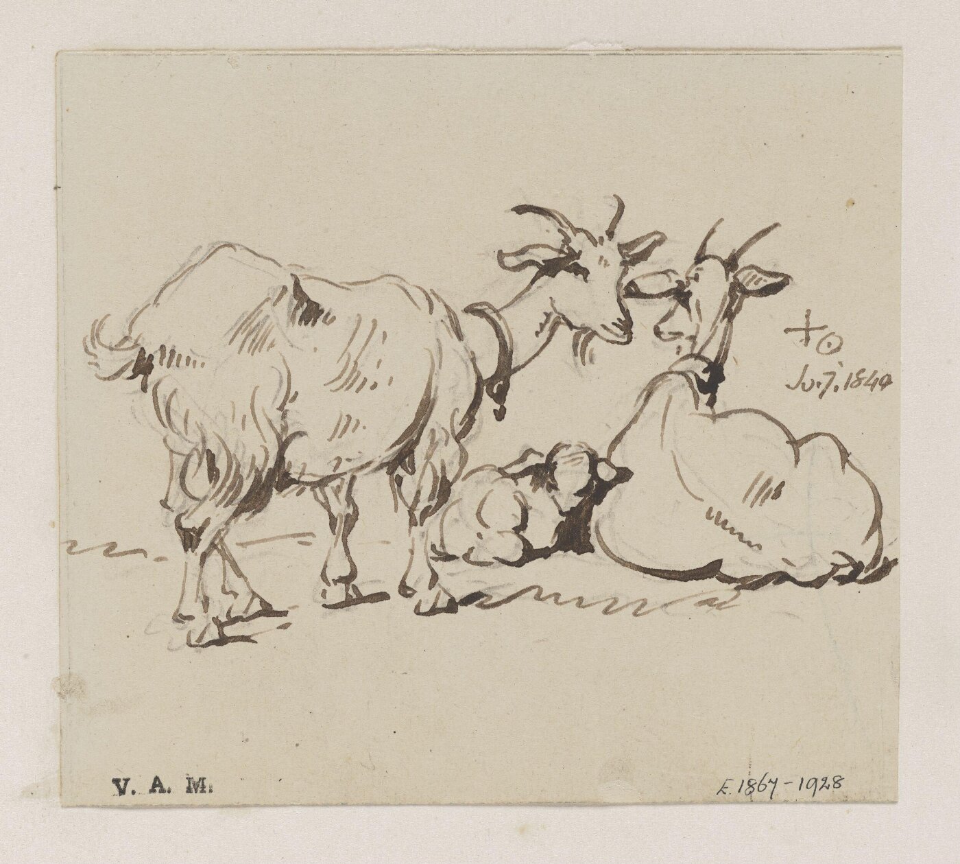 George Chinnery, Two goats and a kid