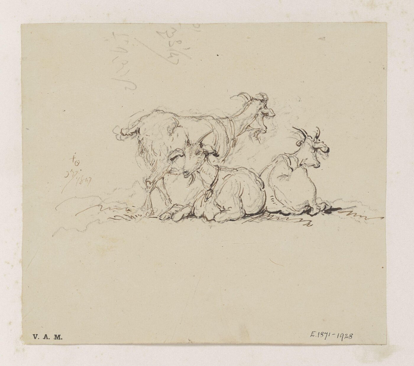 George Chinnery, Three goats