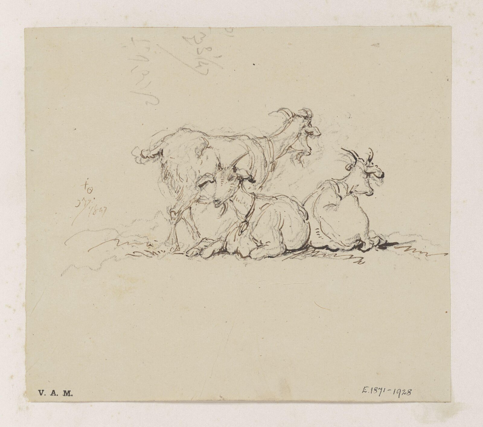 Three goats, George Chinnery, 17/05/1847