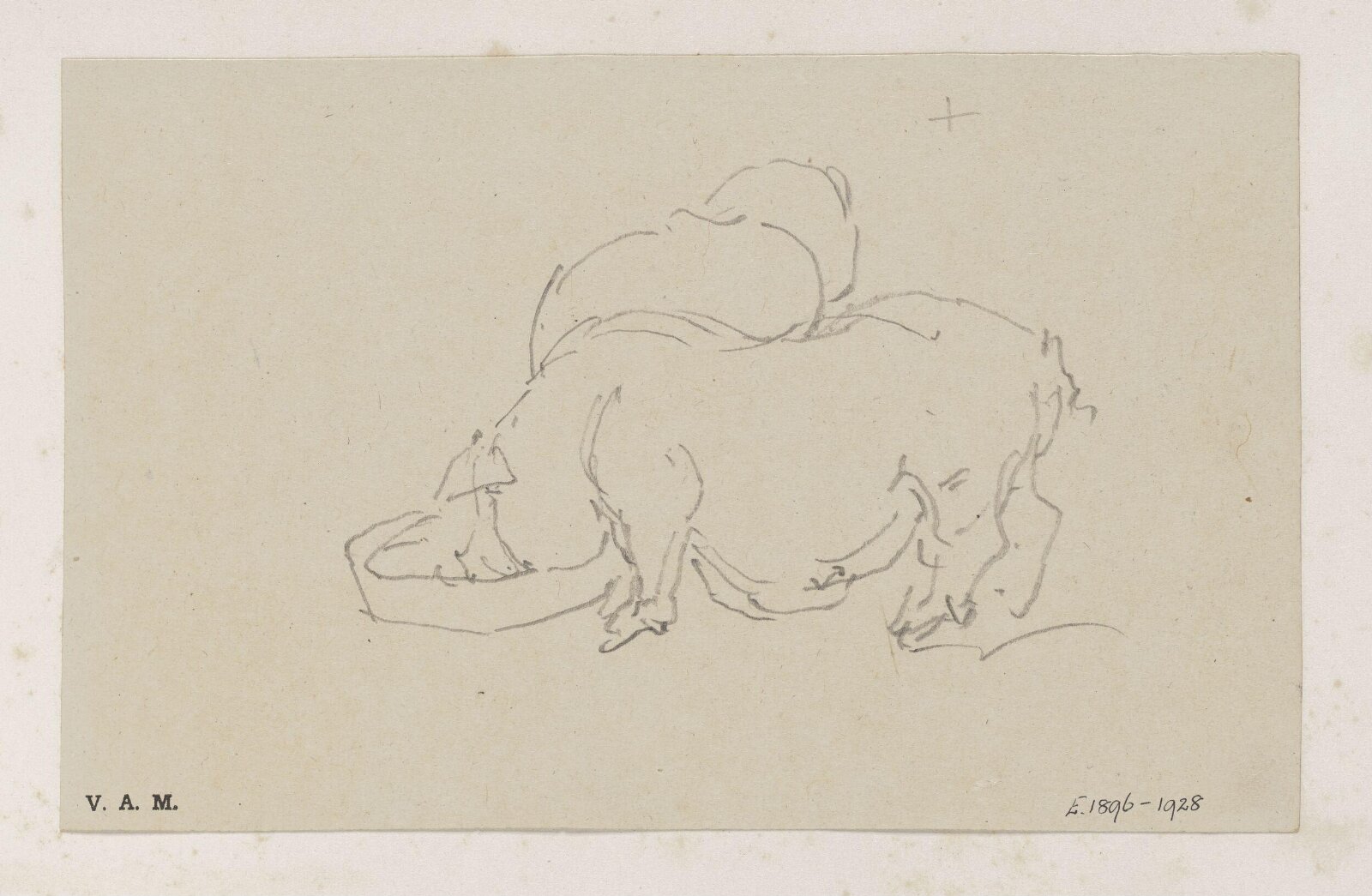 Two pigs, George Chinnery, 29/09/1825 - 30/05/1852