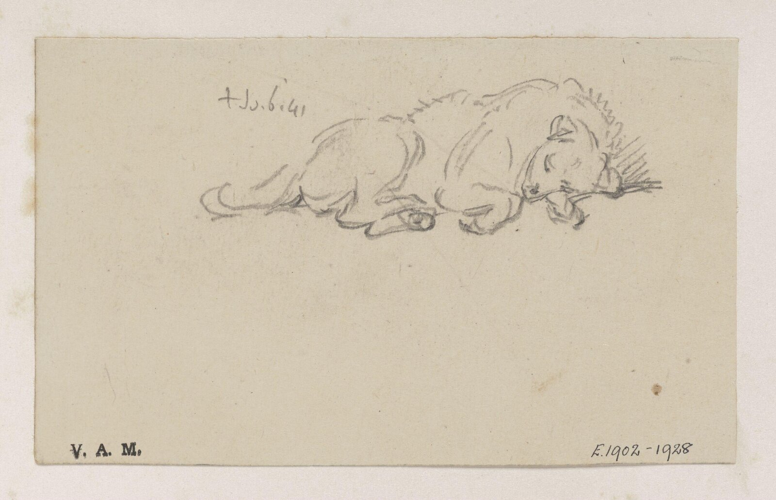 A sleeping dog, George Chinnery, 06/07/1841
