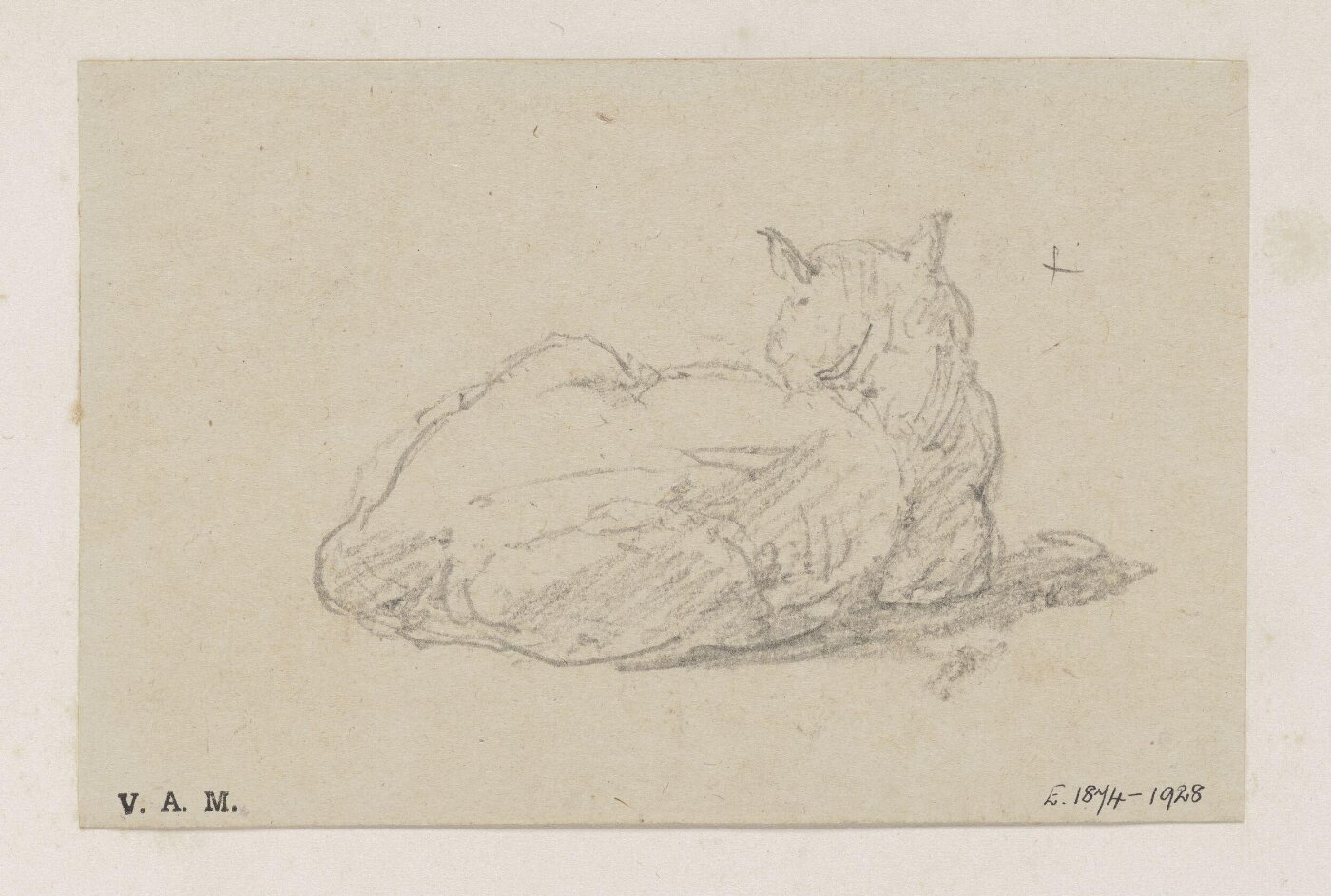 George Chinnery, A study of a cat