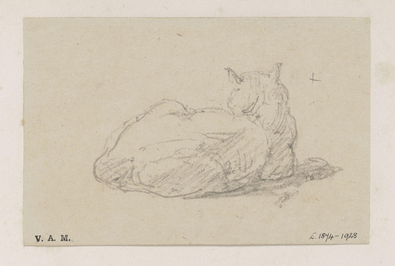 A study of a cat, George Chinnery, 29/09/1825 - 30/05/1852