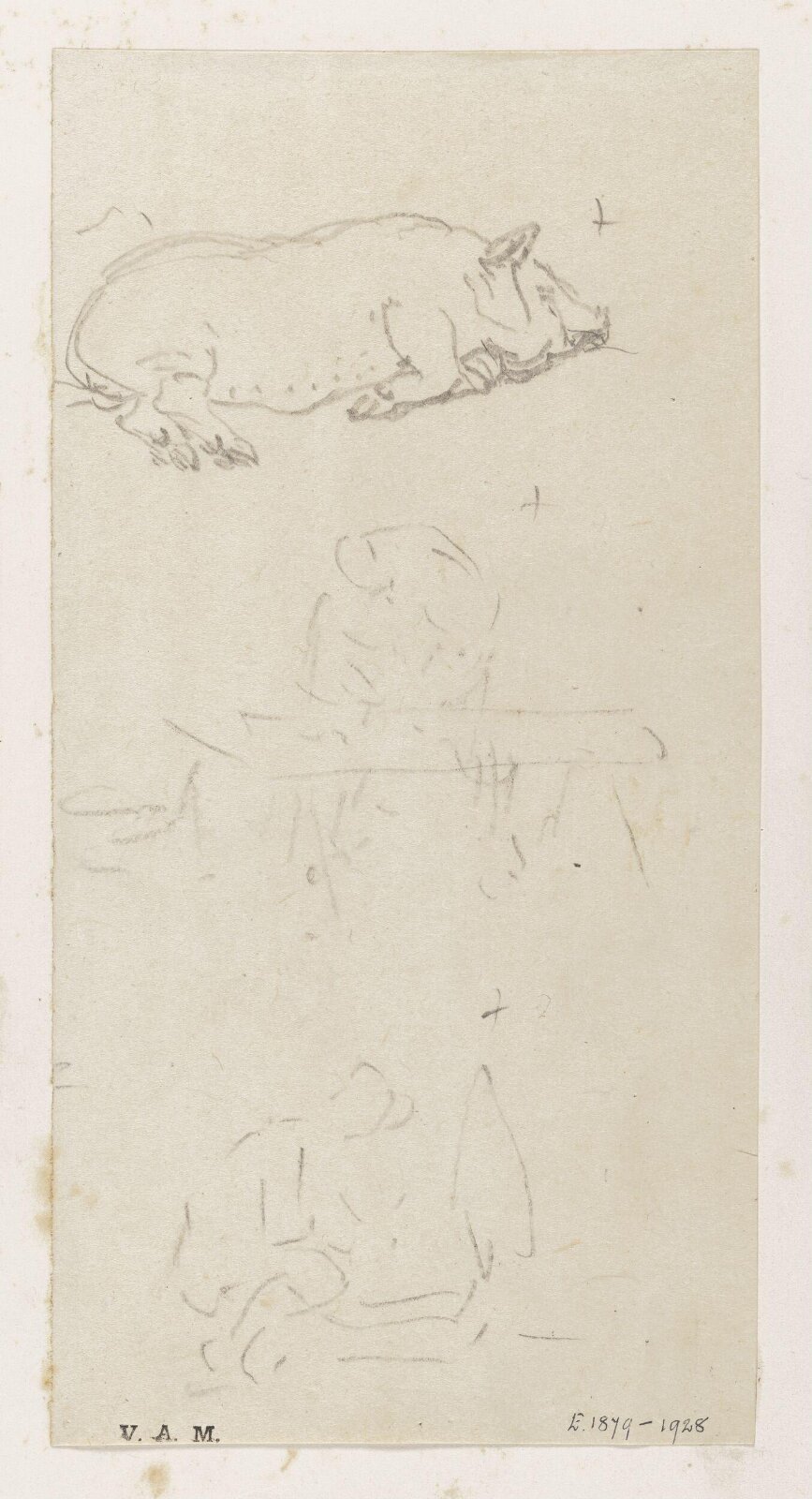 A pig lying on its side, George Chinnery, 29/09/1825 - 30/05/1852