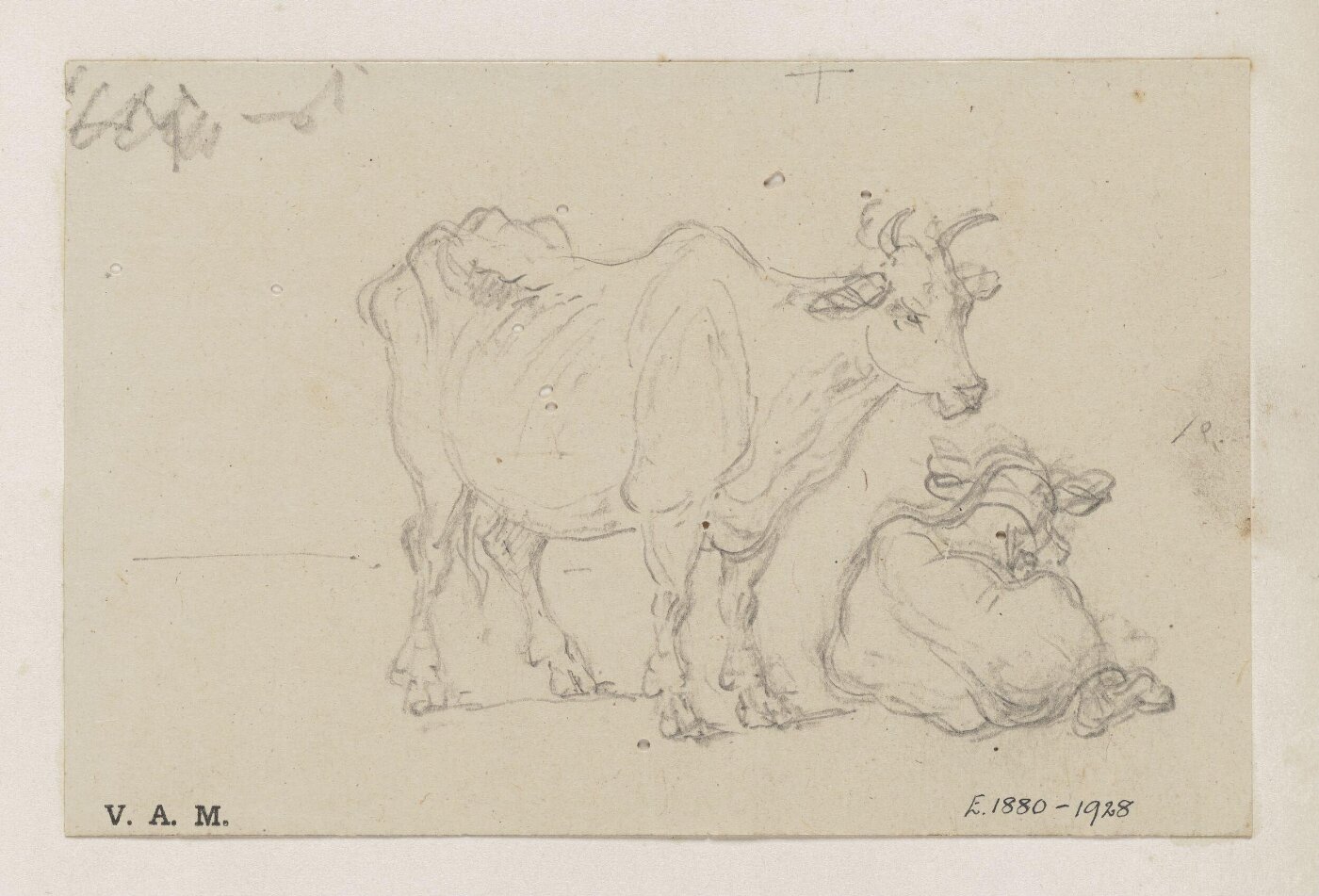 George Chinnery, A cow and calf