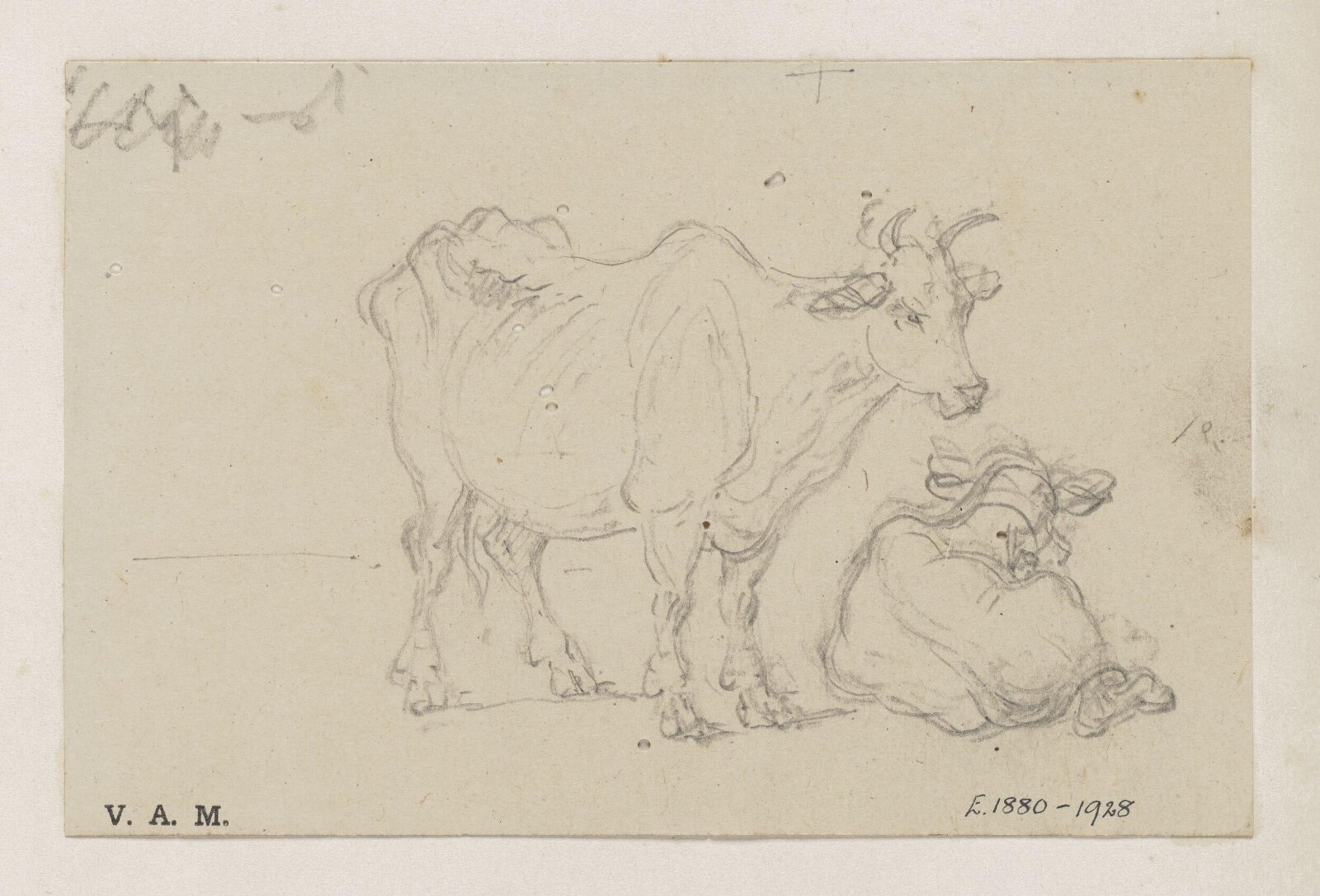 A cow and calf, George Chinnery, 29/09/1825 - 30/05/1852