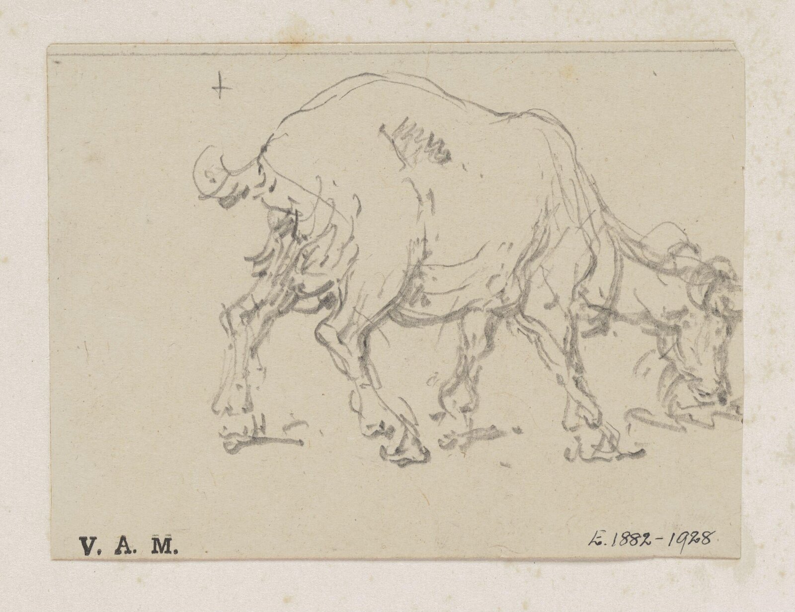 A grazing goat, George Chinnery, 29/09/1825 - 30/05/1852