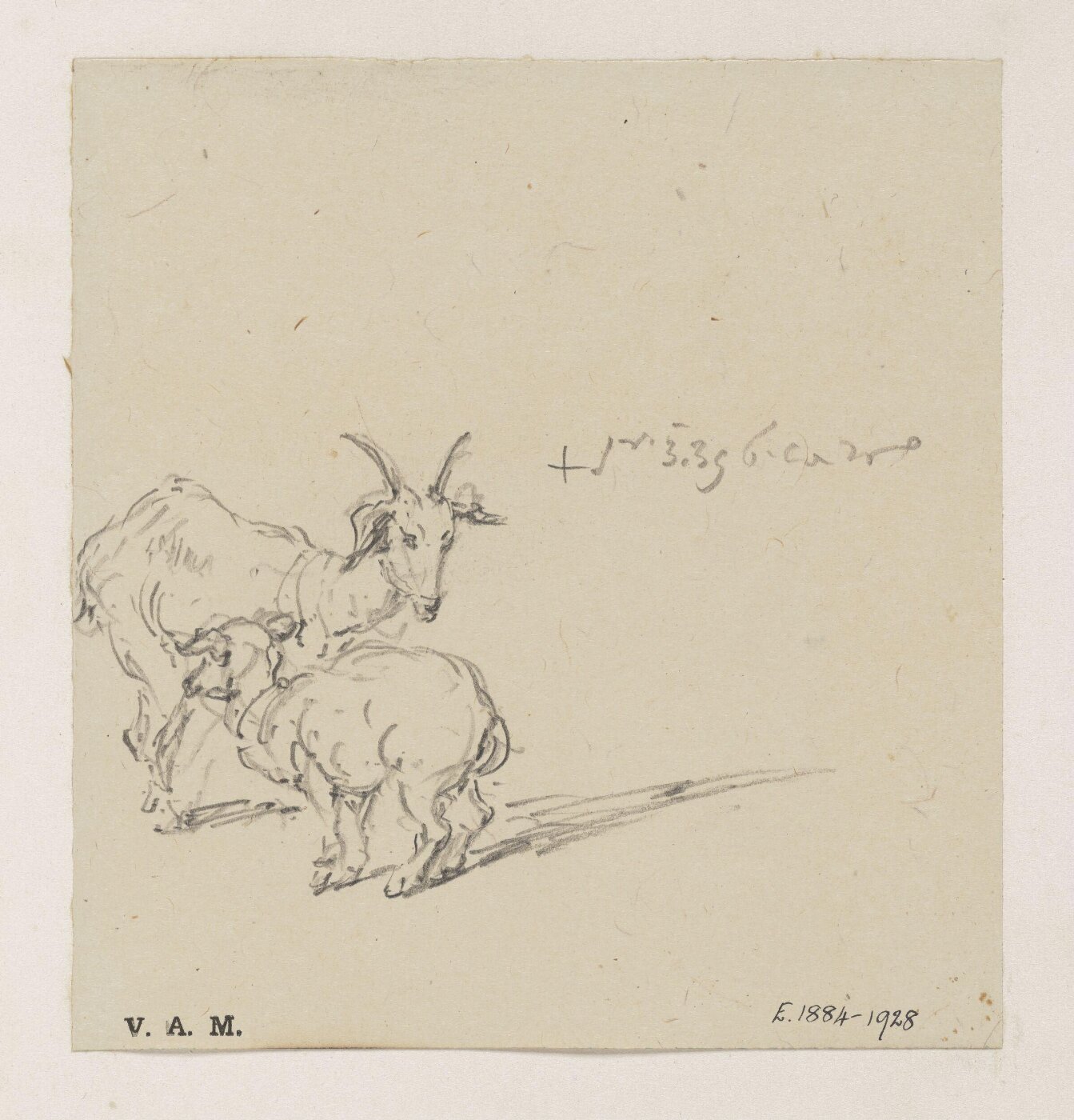 George Chinnery, A goat and kid