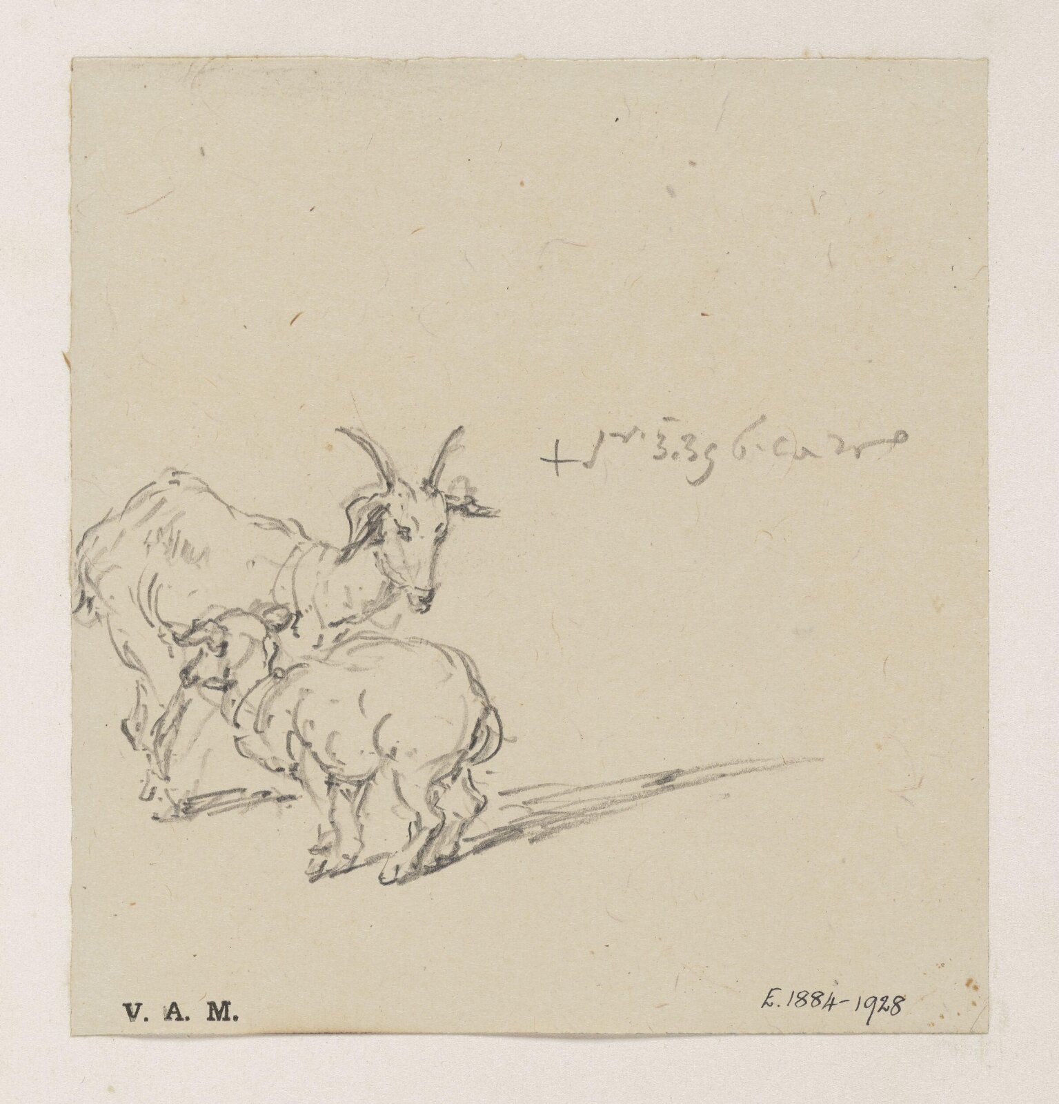 A goat and kid, George Chinnery, 03/01/1839