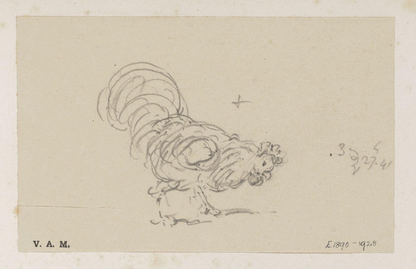 A cockerel, George Chinnery, 03/12/1825 - 03/12/1851