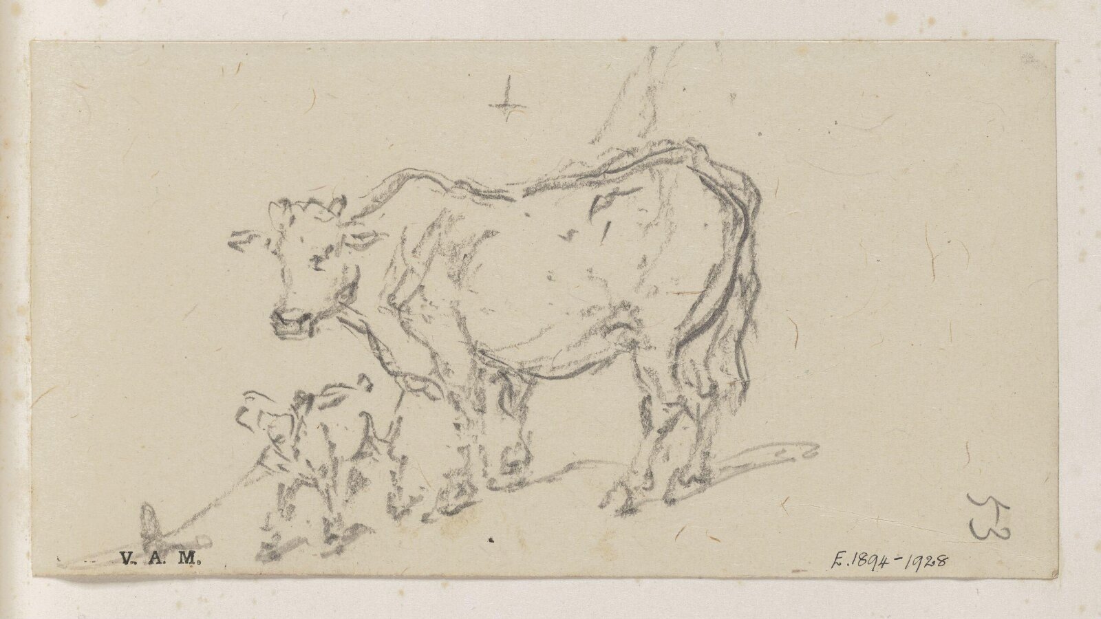 A cow and calf, George Chinnery, 29/09/1825 - 30/05/1852