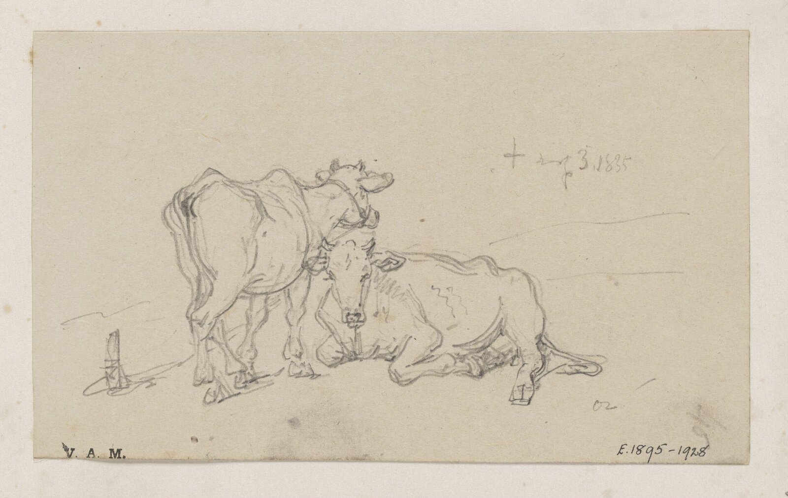 Two cows, George Chinnery, 03/10/1835