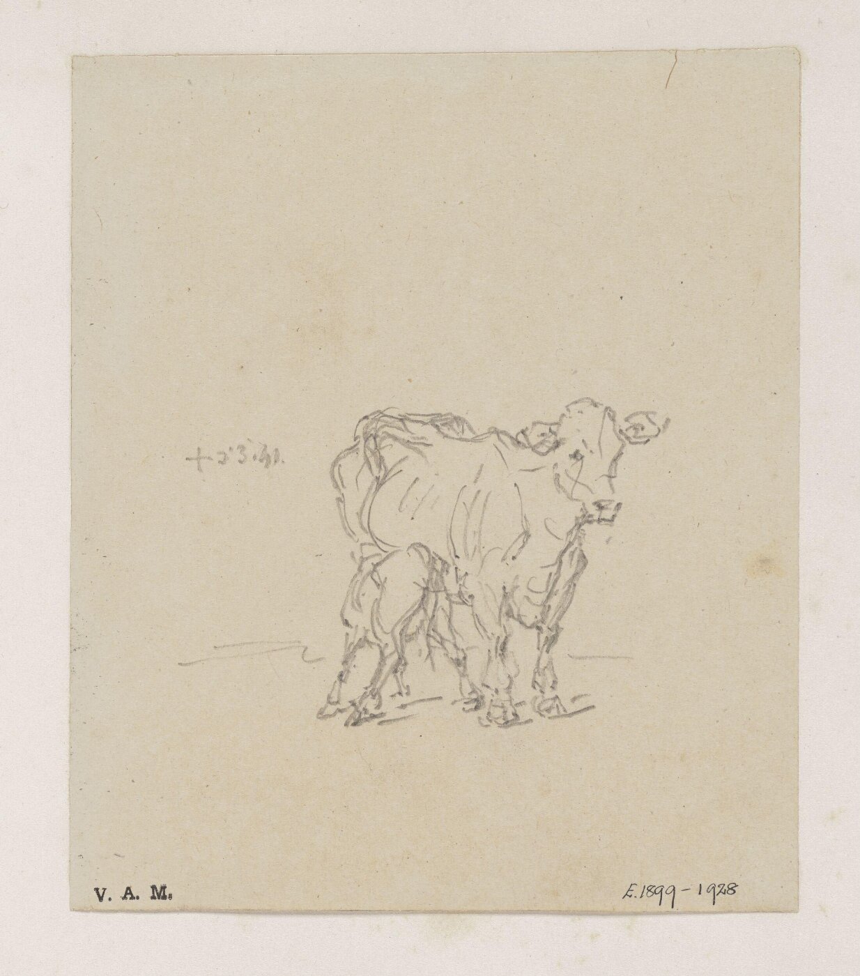 George Chinnery, A cow and calf