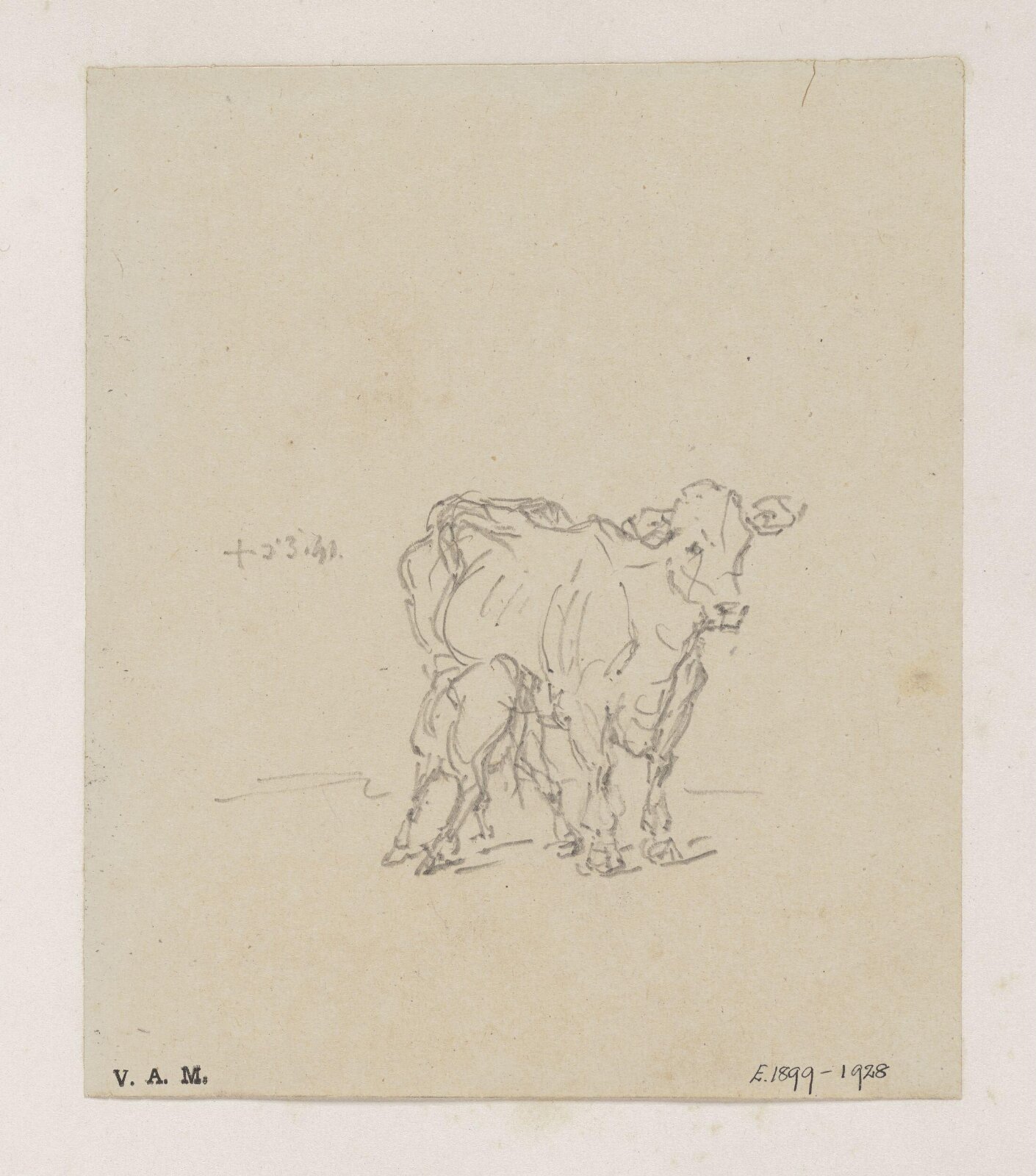 A cow and calf, George Chinnery, 03/05/1841