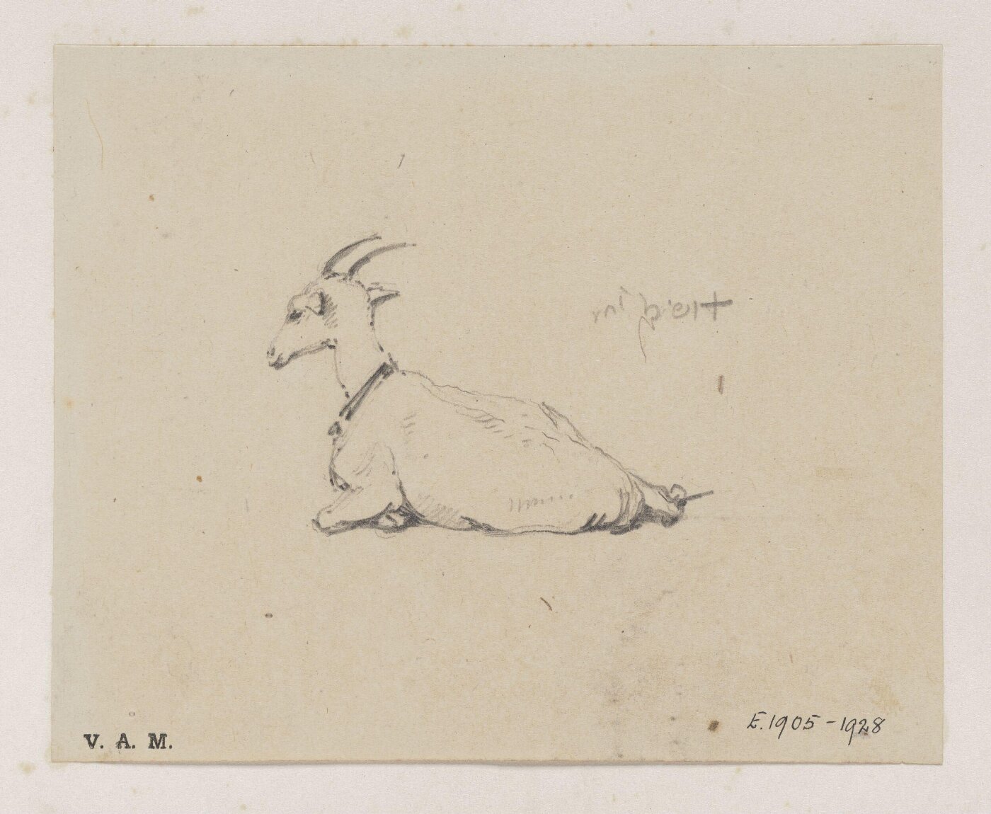 George Chinnery, A reclining goat