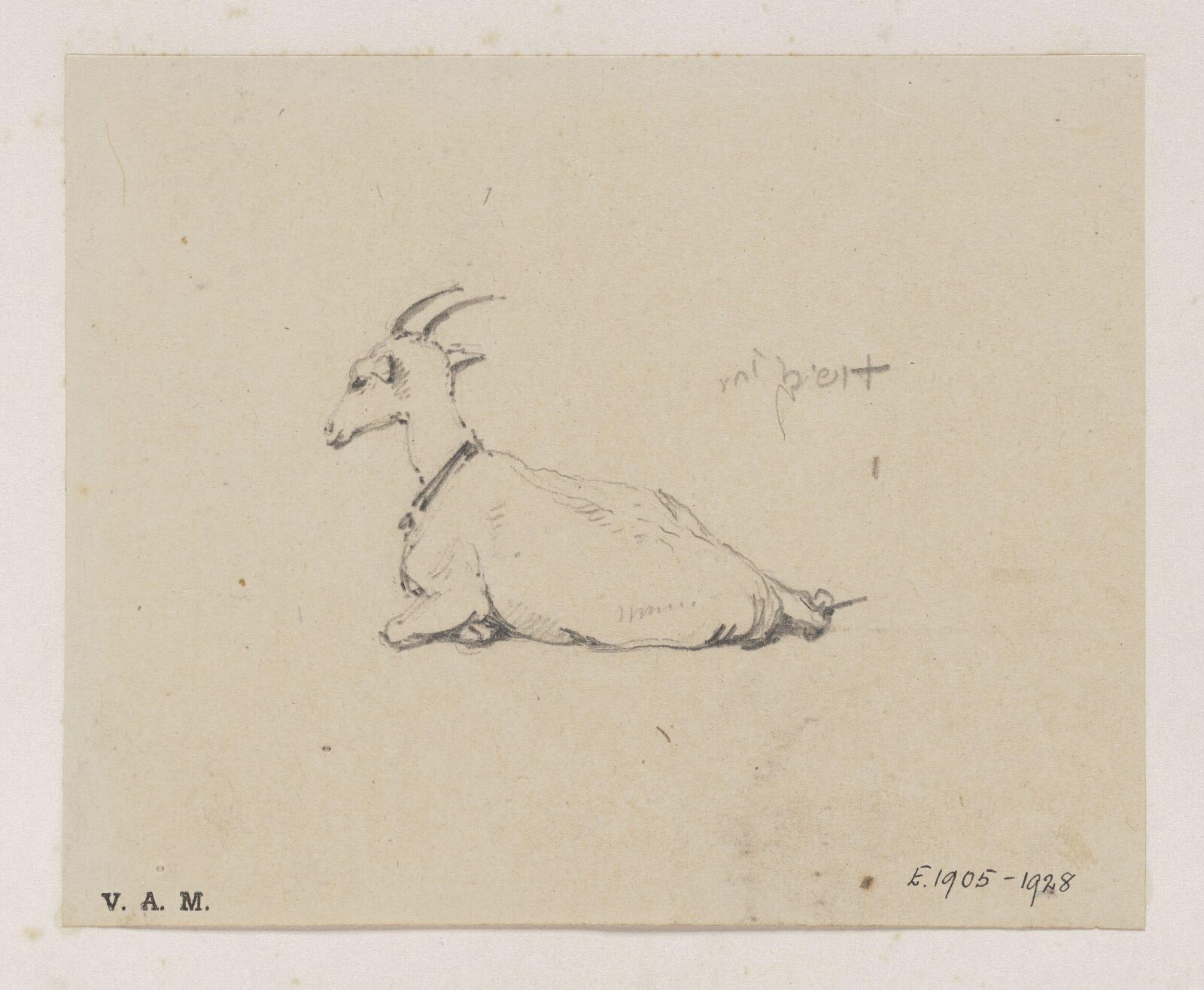 A reclining goat, George Chinnery, 29/09/1825 - 30/05/1852