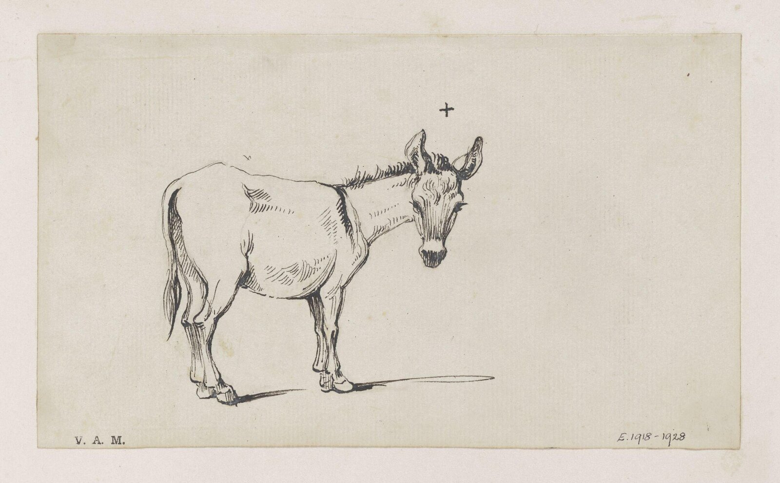 A donkey, George Chinnery, 21/12/1802 - 13/07/1825