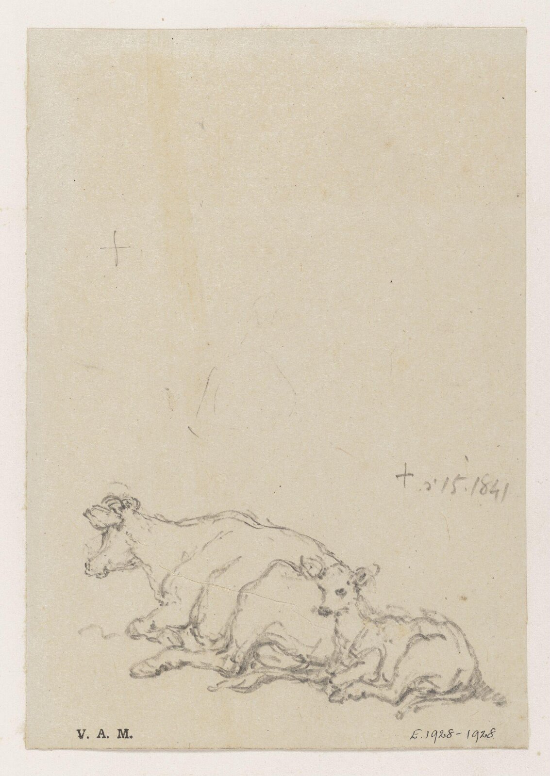 A cow and calf, George Chinnery, 15/05/1841