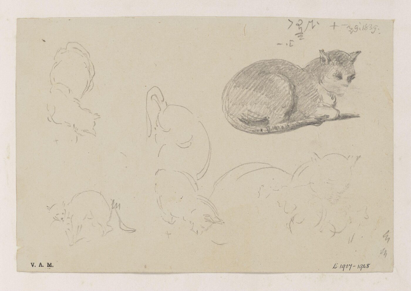 George Chinnery, A cat, with related sketches