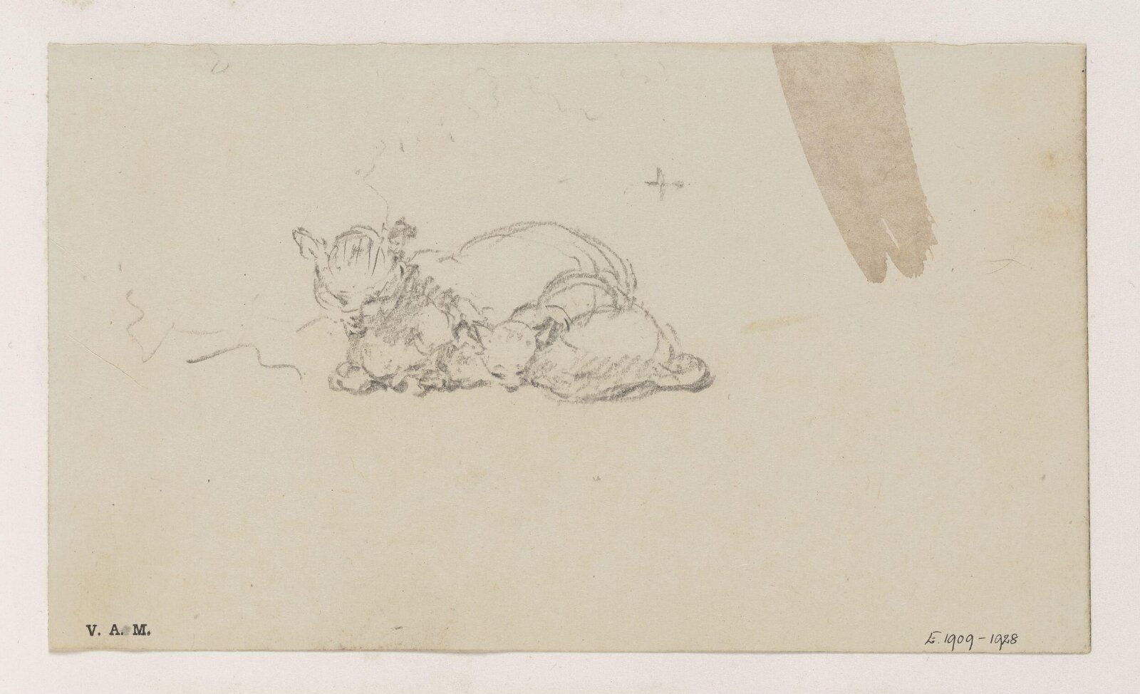 A cat and kittens, George Chinnery, 29/09/1825 - 30/05/1852