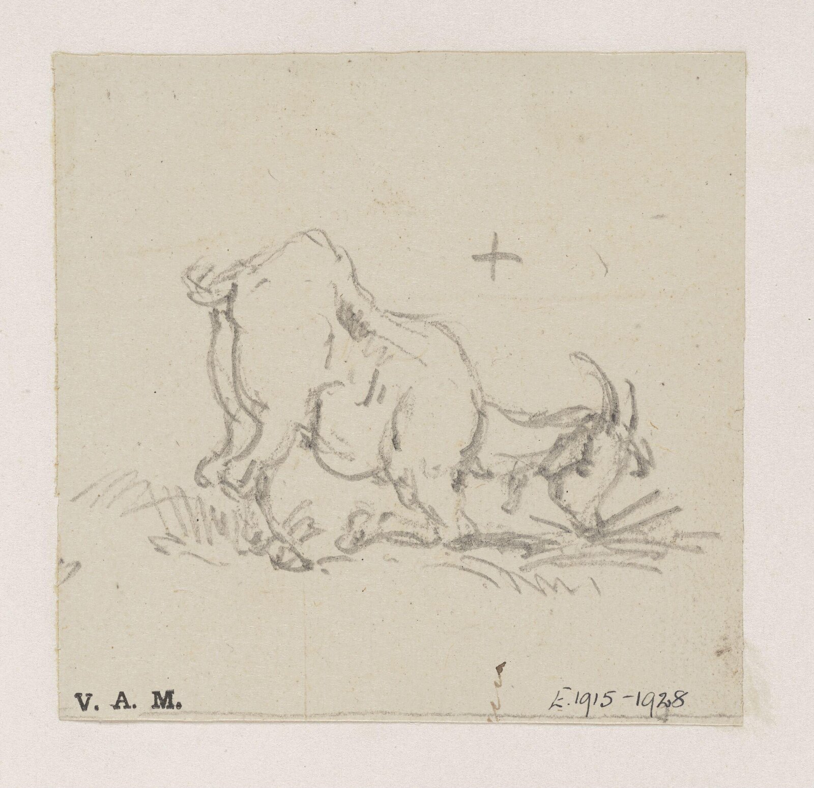 A grazing goat, George Chinnery, 29/09/1825 - 30/05/1852