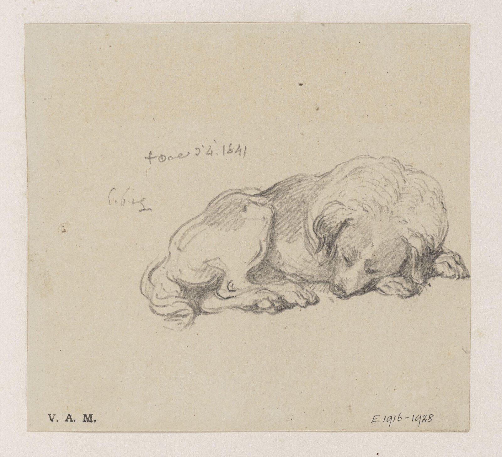 A sleeping dog, George Chinnery, 04/05/1841