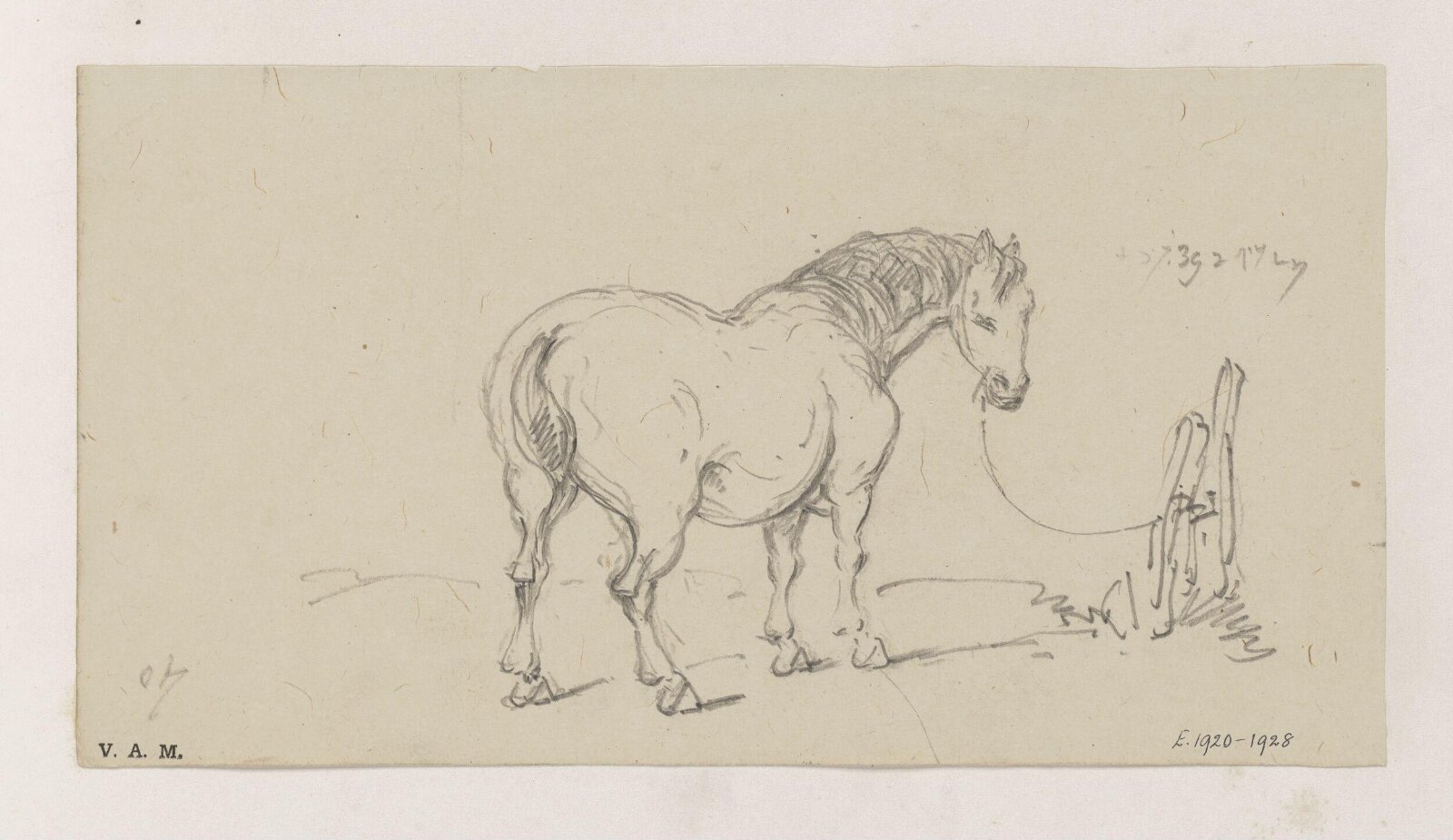 Mr Beale's horse, George Chinnery, 07/05/1839