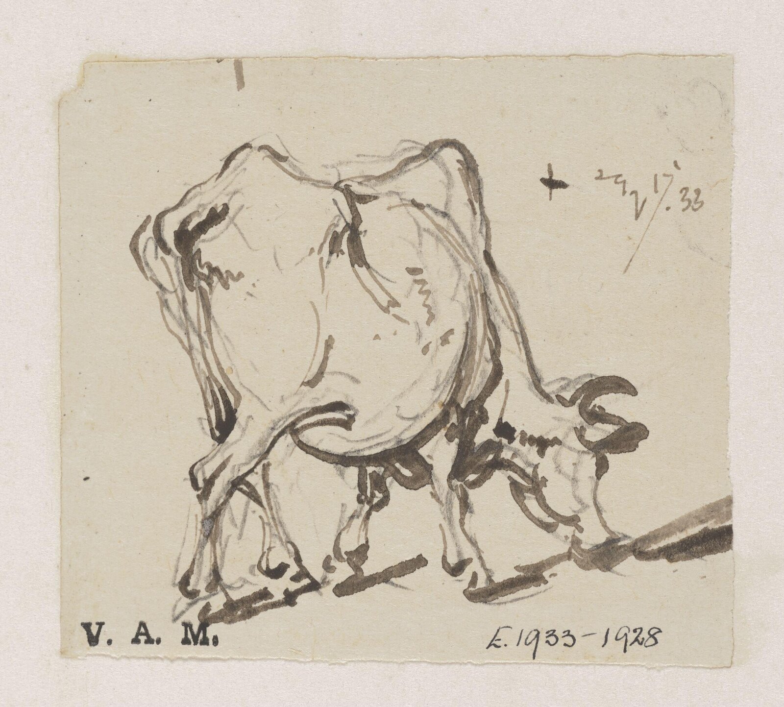 A grazing cow, George Chinnery, 17/10/1833