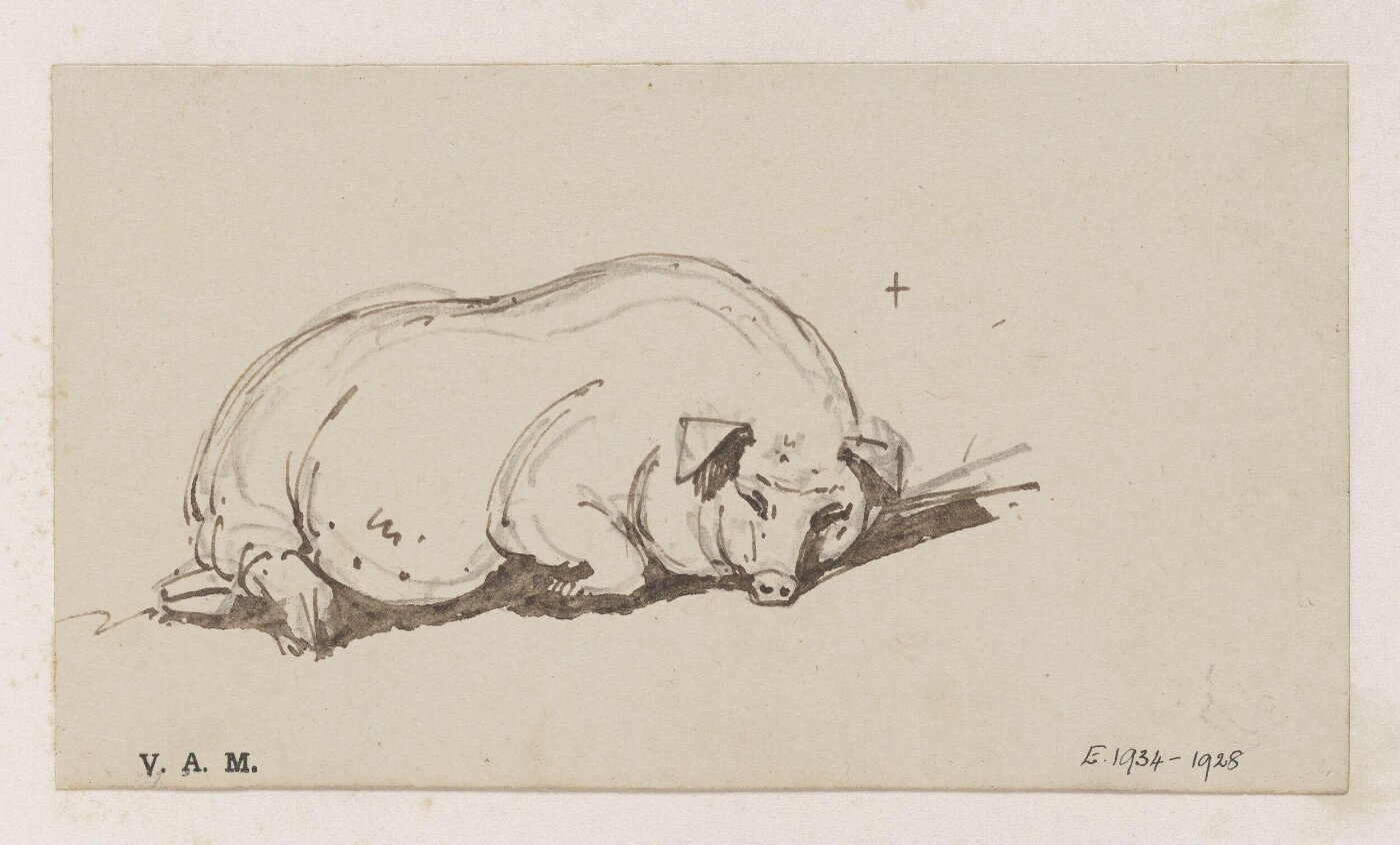 George Chinnery, A pig