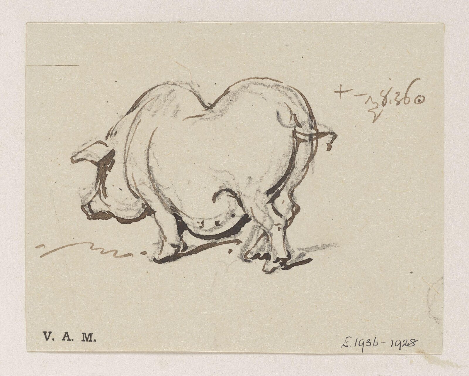 A pig, George Chinnery, 08/11/1836