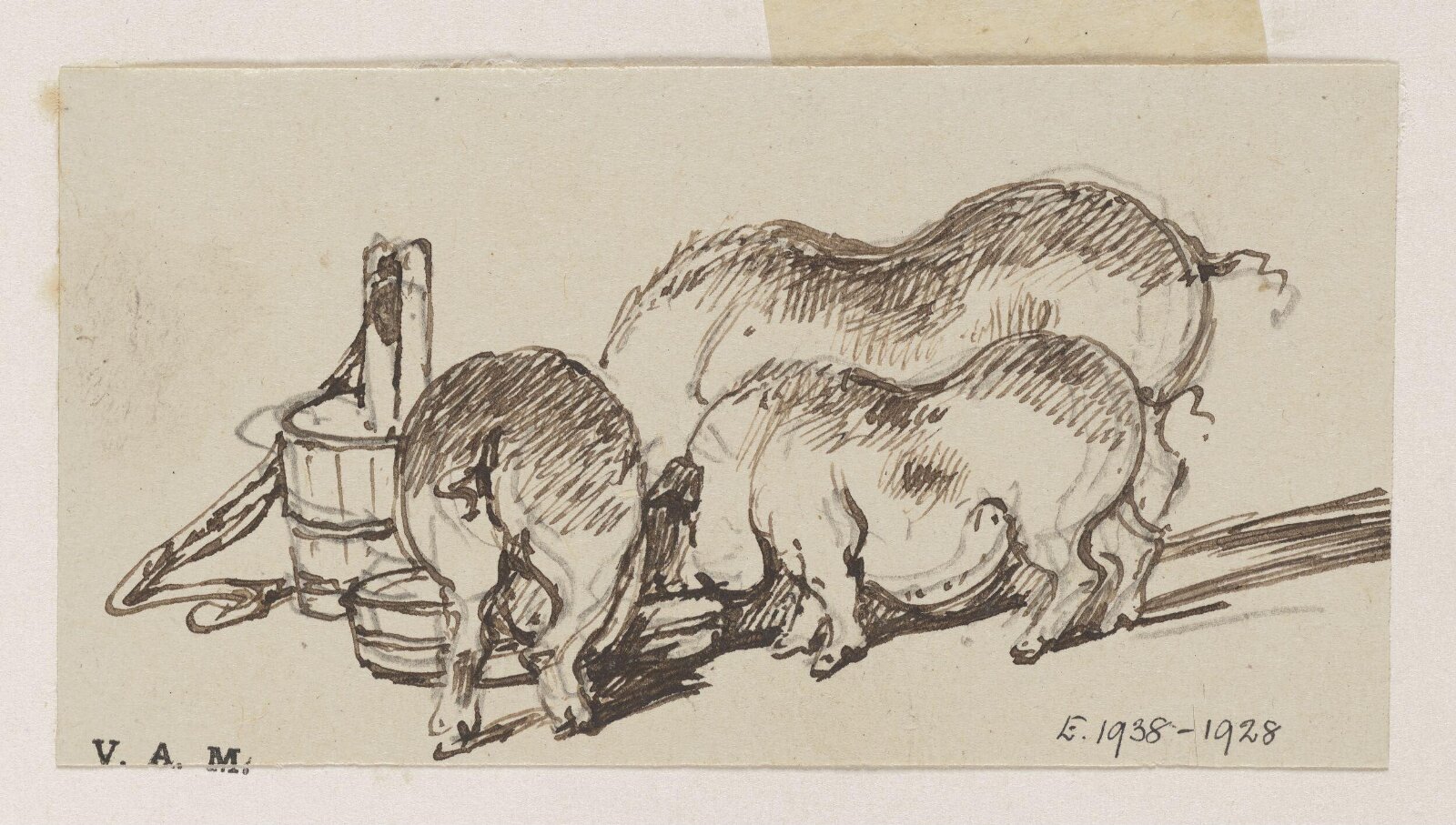 Three pigs at a trough, George Chinnery, 29/09/1825 - 30/05/1852