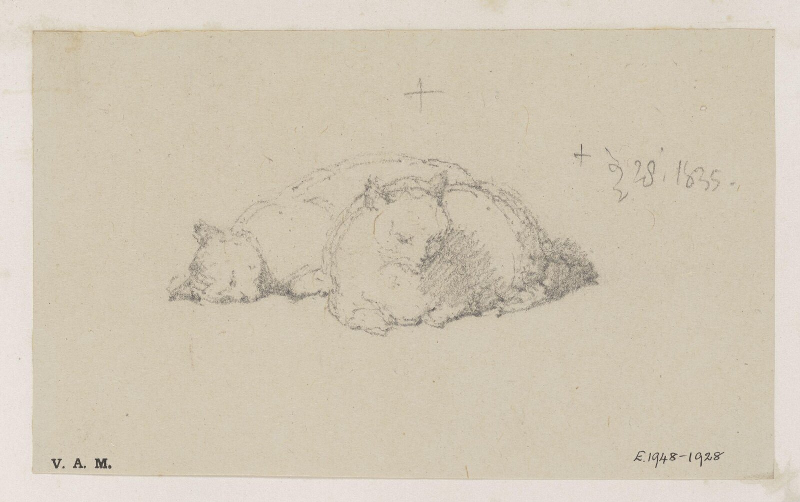 Two cats, George Chinnery, 28/12/1835
