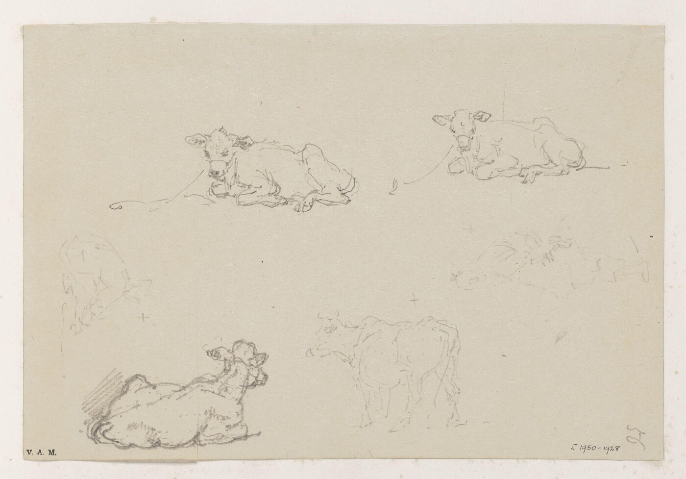 George Chinnery, Figures and cattle