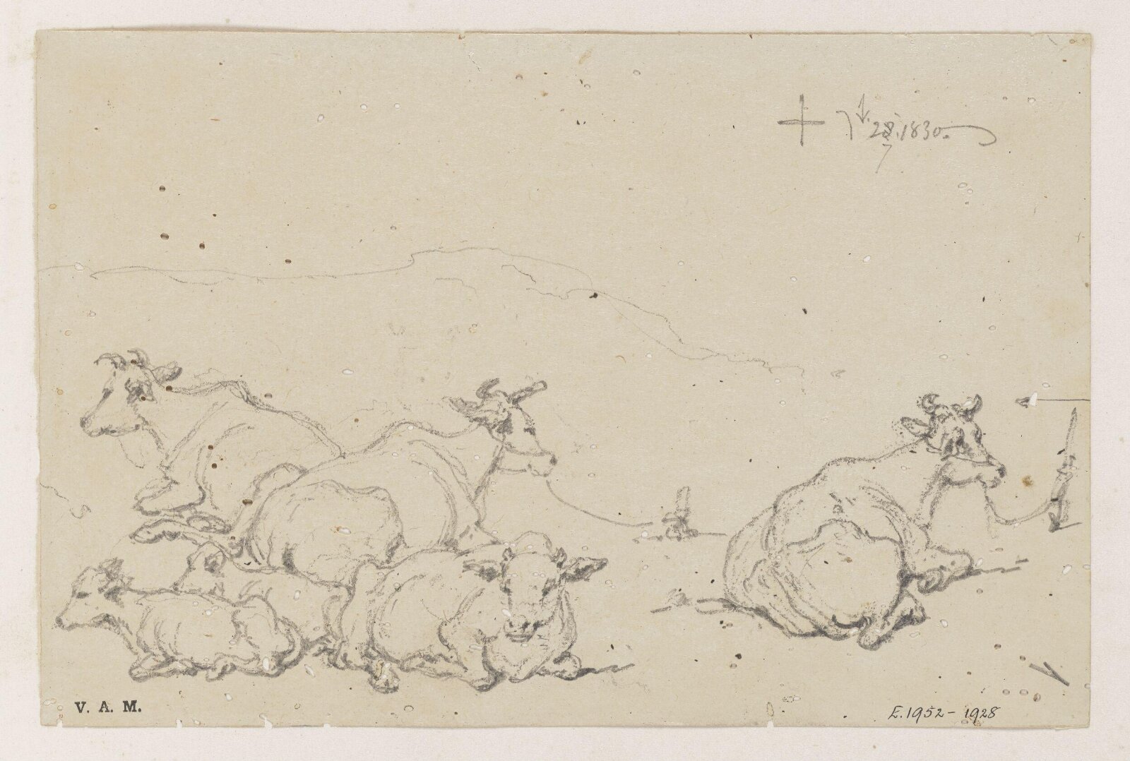 Studies of cows, George Chinnery, 28/02/1830