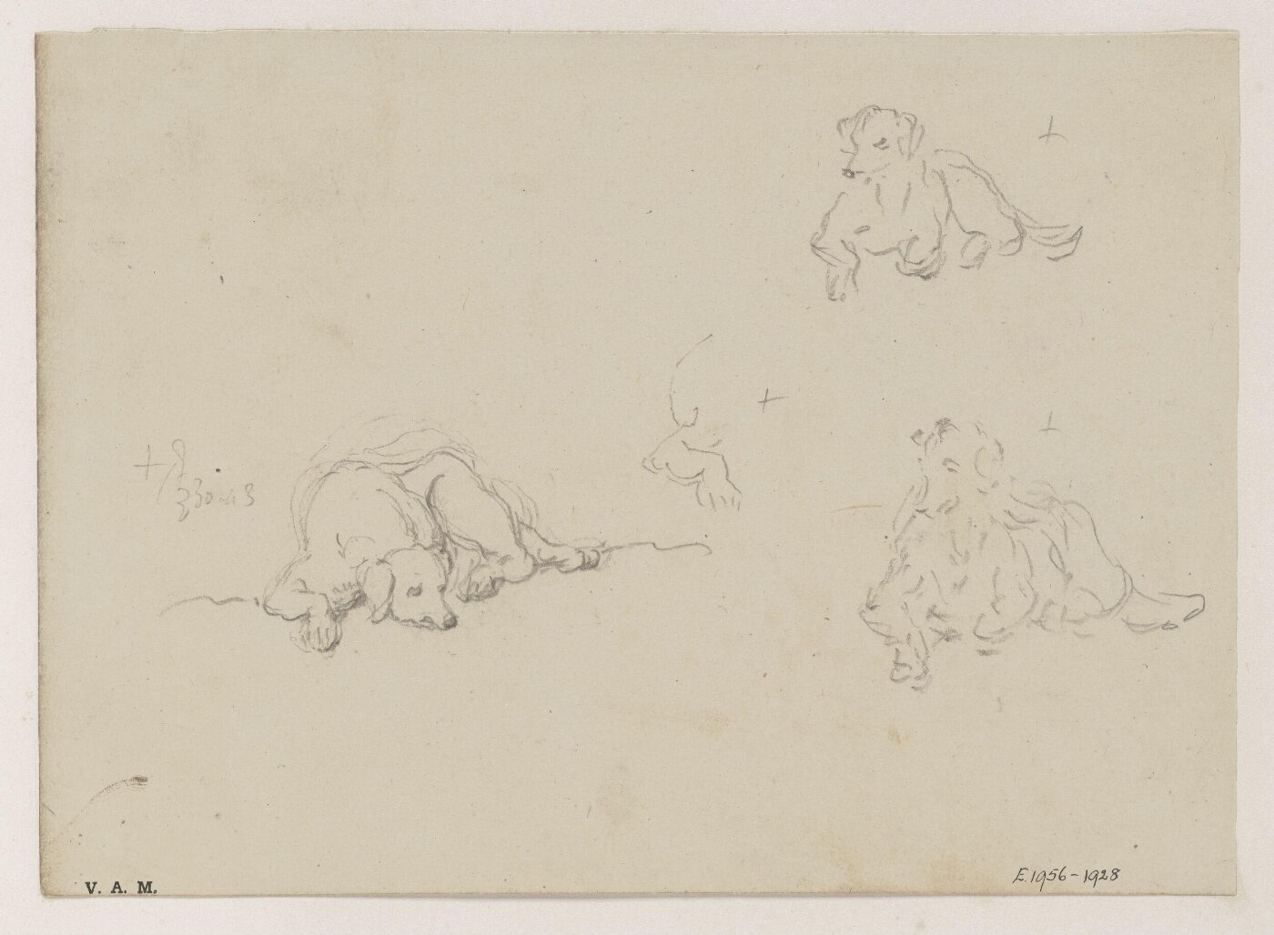 George Chinnery, Three drawings of a dog