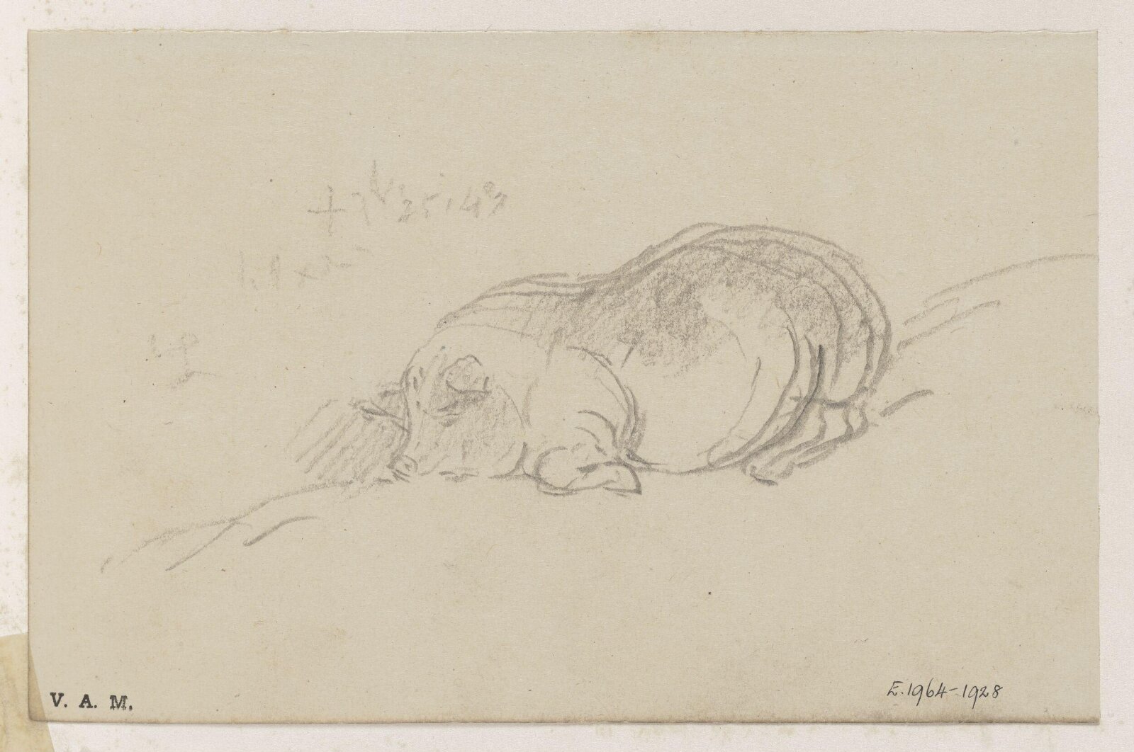 A sleeping pig, George Chinnery, 25/02/1843