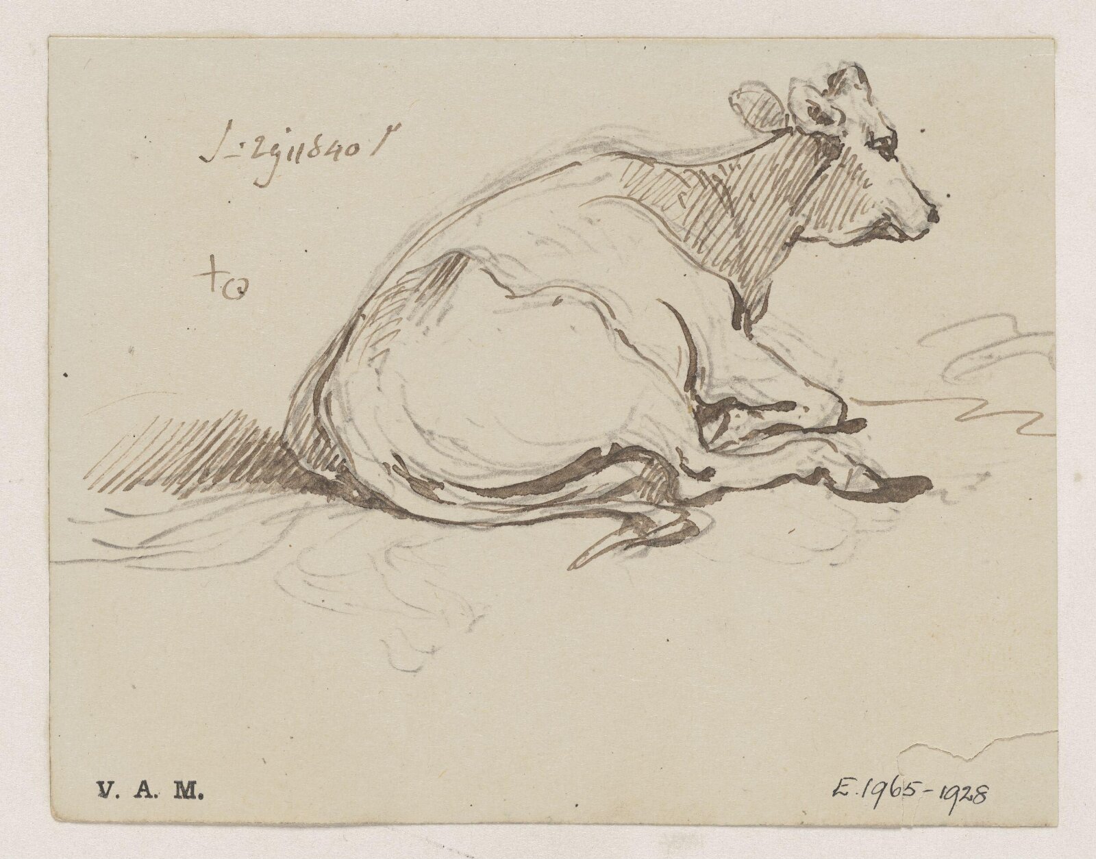 A cow, George Chinnery, 29/06/1840