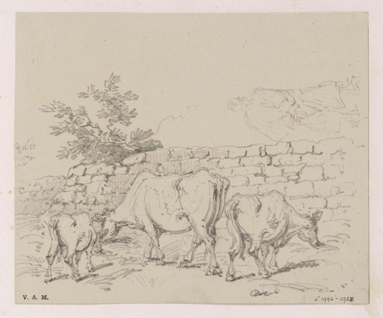 Cattle by a wall, George Chinnery, 16/12/1835