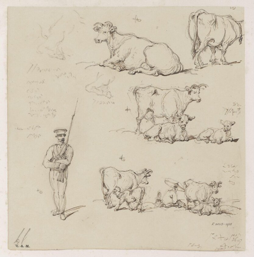 Drawings of cattle and a soldier
